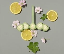 Marcel's Green Soap Toiletblok Geranium & Citroen - 55 Gram -Schoonmaakmiddelen Winkel 1200x1023