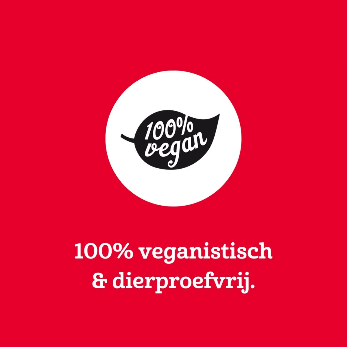 Marcel's Green Soap Sinaasappel & Jasmijn Schoonmaak Pakket 5 Marcel's Green Soap Sinaasappel & Jasmijn Schoonmaak Pakket - Afbeelding 3