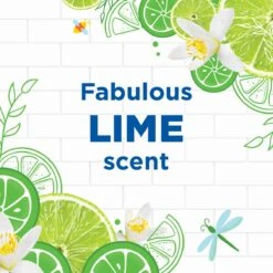 WC Eend Fresh Discs Navul Duo Lime 72 Ml -Schoonmaakmiddelen Winkel 1200x1200 327