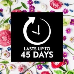 Air Wick Essential Mist Automatische Geurverspreider Luchtverfrisser - Innerlijke Rust - Navulling 17 Air Wick Essential Mist Automatische Geurverspreider Luchtverfrisser - Innerlijke Rust - Navulling -Schoonmaakmiddelen Winkel 1200x1200 472