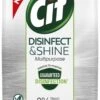 Cif Disinfect & Shine Wipes Doden 99,99% Van De Bacteriën Original Desinfecterende Schoonmaakdoekjes, Van 100% Biologisch Afbreekbaar Textiel 5 X 75 Doekjes -Schoonmaakmiddelen Winkel 665x1200